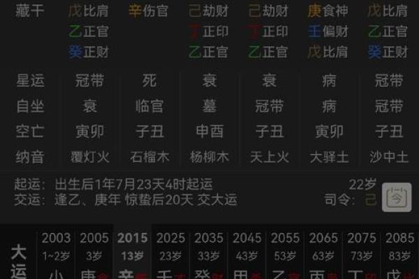 2024年八字命理解析：哪些命格在新的一年里旺盛生辉？