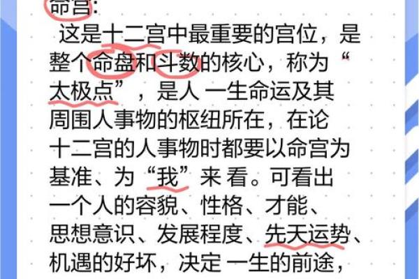 探秘子命互禄：辛命进禄的深远寓意与启示