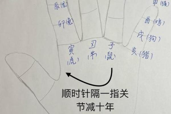 2020年生肖与命理解析：如何化解命里缺失的问题