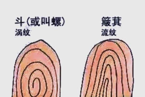 女生10个簸箕命运揭秘：你知道哪个簸箕对应你的命运吗？