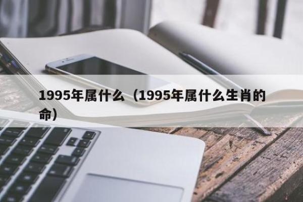 1995年火命猪：热情洋溢的活力人生之旅