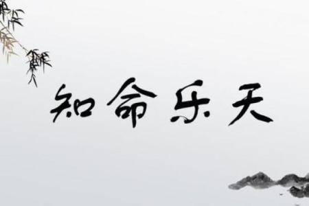 命运的多样性：探索“命什么多什么”的成语世界