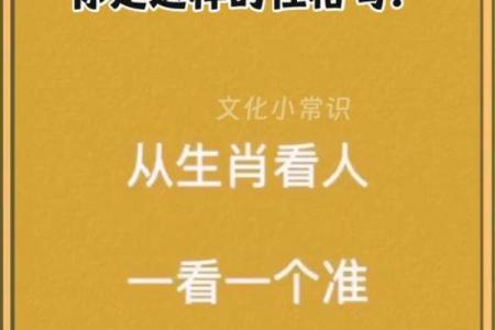 2012年属龙人的命运解析与性格魅力探讨