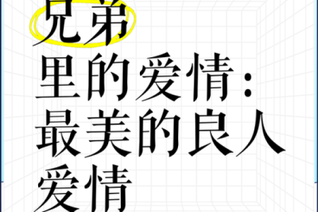 兄弟情深：生命中最重要的羁绊与力量