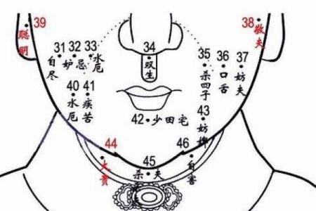 没下巴的男命面相解析，揭秘财富与运势的独特联系