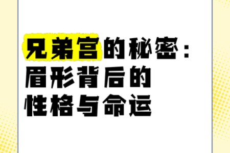 眉头骨骼突出：解读其背后的命运与性格秘密