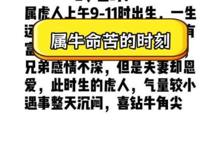 2021年：牛年揭秘，属牛人的命理与个人成长之道