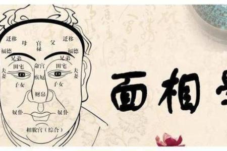 不同月份出生的你，命运如何？解密人生走向!