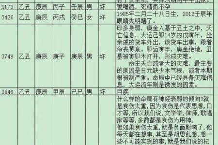 丙子月出生的人：命理解析与个性特征的深度剖析