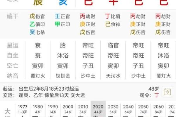 探索命理世界：揭秘乙丑庚辰戊戌丁巳的命运轨迹