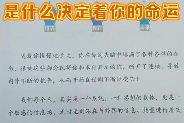 1992年7月出生的人命运解析：探索你的性格与人生轨迹