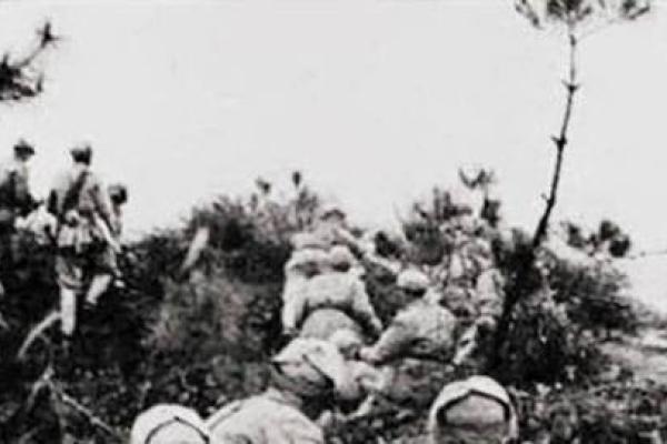 探索1965年命运：那一年所带来的启示与反思