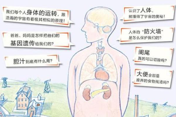揭秘男人高大身材的秘密：遗传、饮食与锻炼的完美结合