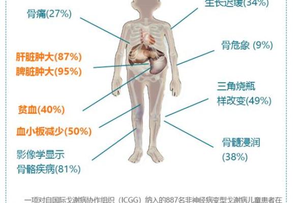 揭秘男人高大身材的秘密：遗传、饮食与锻炼的完美结合