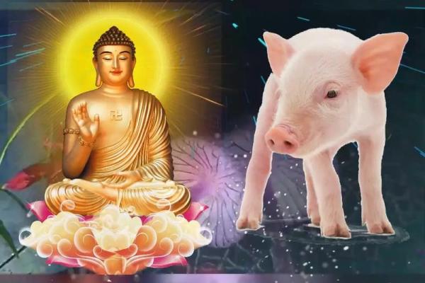 探秘火猪命：2022年的命运与个性解析