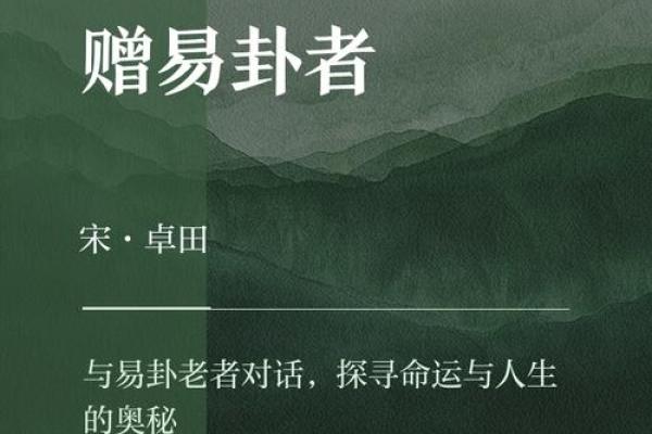 横截面：揭示人生命运的神秘窗口