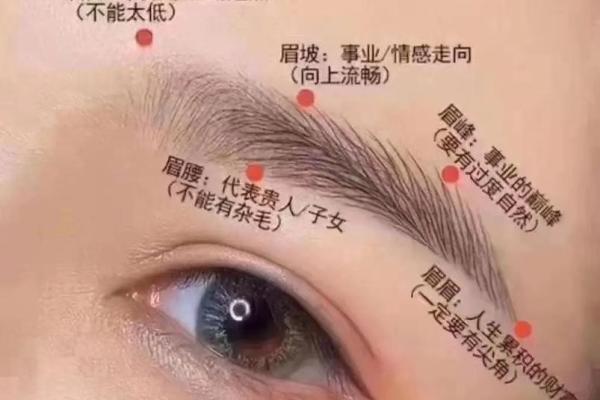 揭秘男人眉毛的命运：透过眉形看人生运势的奥秘
