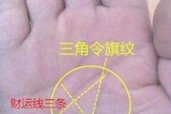 享福命手相:探寻幸福与命运的秘密 享福命手相:探寻幸福与命运的秘密