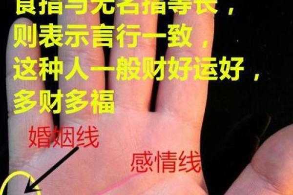 享福命手相:探寻幸福与命运的秘密 享福命手相:探寻幸福与命运的秘密