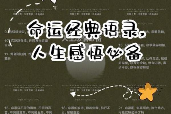 2008年：命运的交错与人生的寓意解析