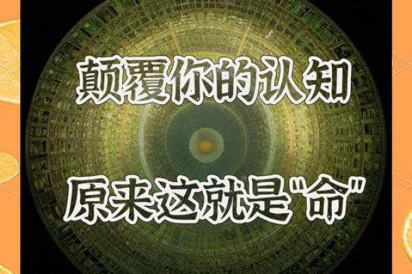 19977命理解析：揭开命运之谜，助你把握人生机遇！