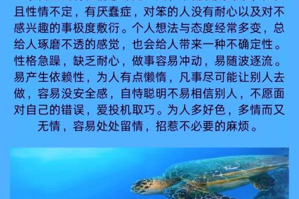 大海水命与卦象的和谐之旅：探索命理的深邃智慧