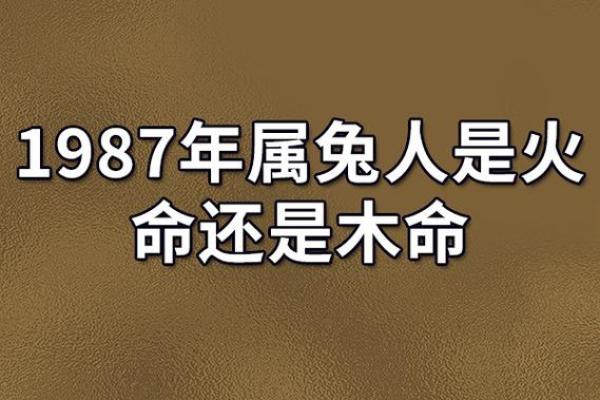 兔年出生者的命格解析：何以成就幸福人生？