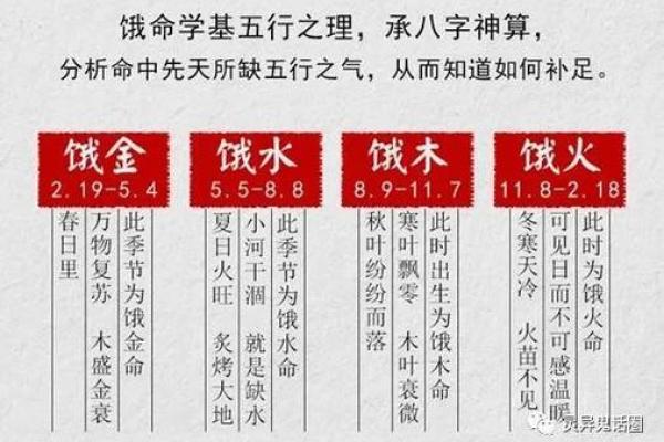 探秘乙木命：纯阴命还是独特灵性？解读命理奥秘！