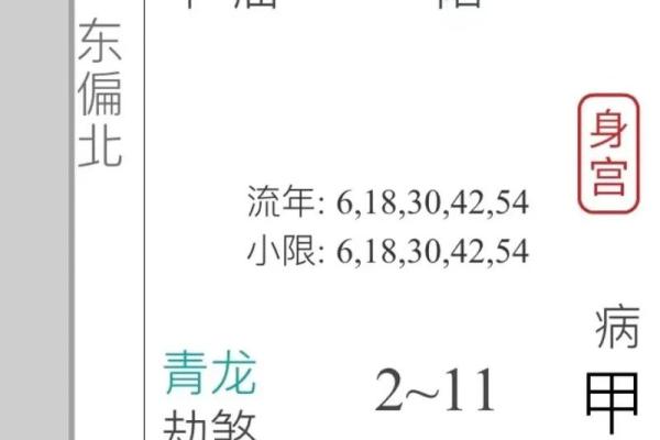 探秘乙木命：纯阴命还是独特灵性？解读命理奥秘！