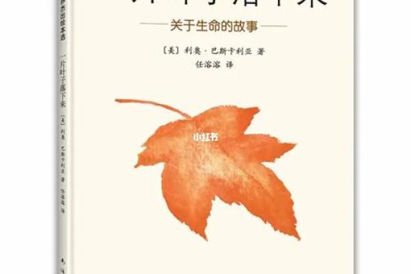 一命换一命:生命的重生与牺牲的故事 一命换一命:生命的重生与牺牲的故事