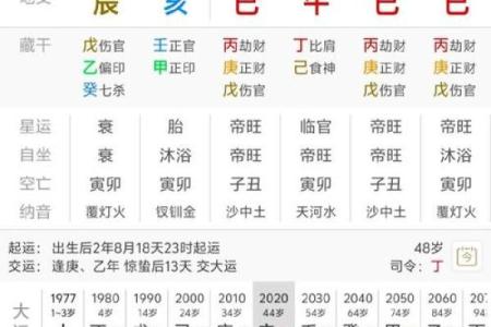 探索命理世界：揭秘乙丑庚辰戊戌丁巳的命运轨迹