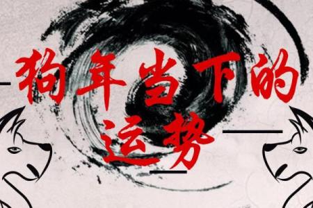 2009年属于什么木命？揭开木命的神秘面纱