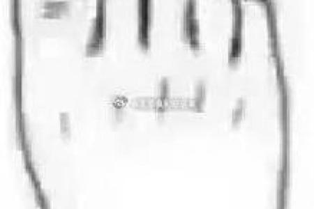 脚趾弯曲的命运：从足部看人生的秘密与启示