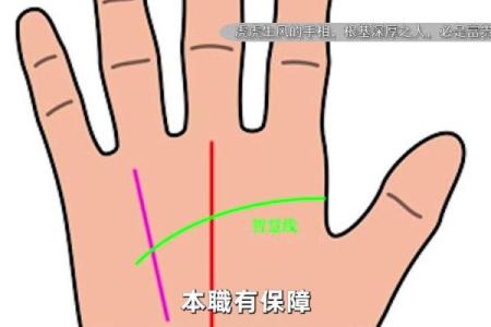 富贵命罕见手相揭秘：隐藏在掌纹中的财富与命运之道
