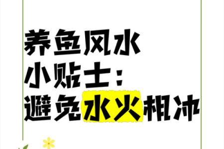 火命人养鱼的技巧与讲究，创造一个和谐的水世界！