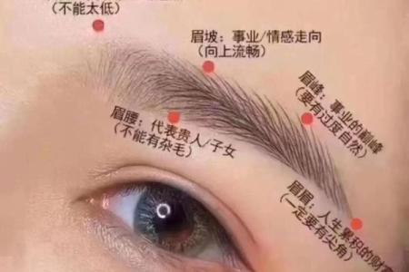 揭秘男人眉毛的命运：透过眉形看人生运势的奥秘
