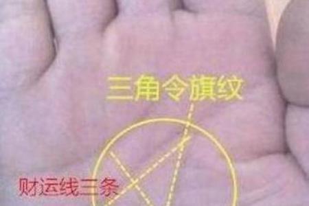 享福命手相：探寻幸福与命运的秘密