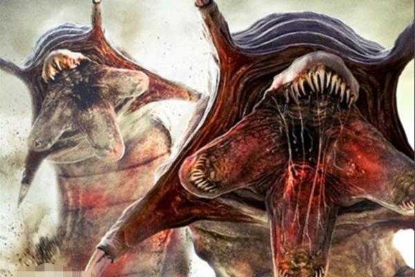 解密66年：庚午年与马命的魅力探讨