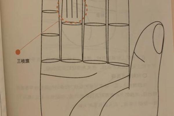 火命体型与富贵相赫然，深度解析一生运势与身体象征！