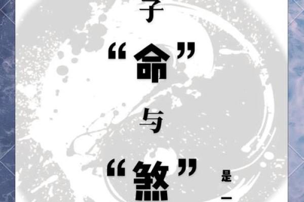 戊子年,童子命的神秘与人生启示 戊子年,童子命的神秘与人生启示