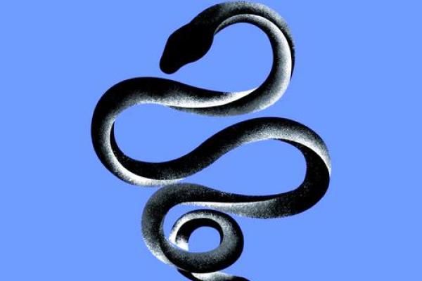 1977年出生的男蛇：命运与个性的奇妙结合