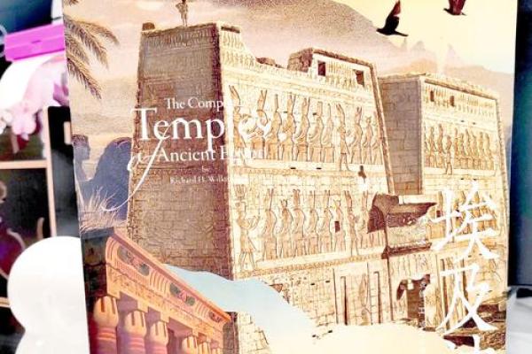 20186月29日:探寻命运的神秘之旅,解密你我命盘的奥妙 20186月29日:探寻命运的神秘之旅,解密你我命盘的奥妙