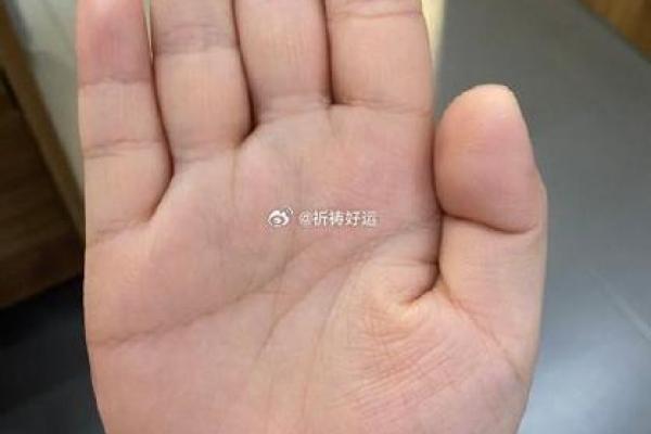 20080808命格解析:寻找隐藏在数字背后的命运密码 20080808命格解析:寻找隐藏在数字背后的命运密码