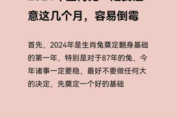 1974年属兔人的性格与命运解析：从温柔到坚韧的奇妙旅程