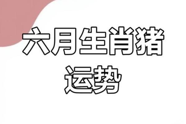 解密2019年属猪的命理特征与人生运势