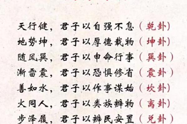 1967离卦的命运解读：光明与智慧之道