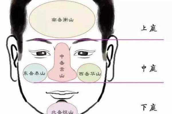 眉头距离很远的人生解析:命运背后的秘密 眉头距离很远的人生解析:命运背后的秘密