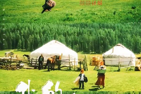 养什么都不活,究竟是什么命?探寻命运与心灵的秘密 养什么都不活,究竟是什么命?探寻命运与心灵的秘密