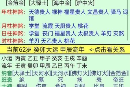 命格彩凤之命：揭开五行八字中的神秘面纱