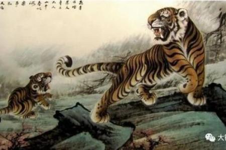 解密66年：庚午年与马命的魅力探讨